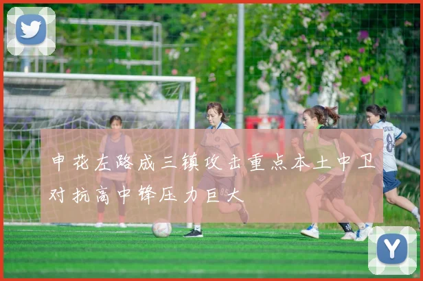 申花左路成三镇攻击重点本土中卫对抗高中锋压力巨大